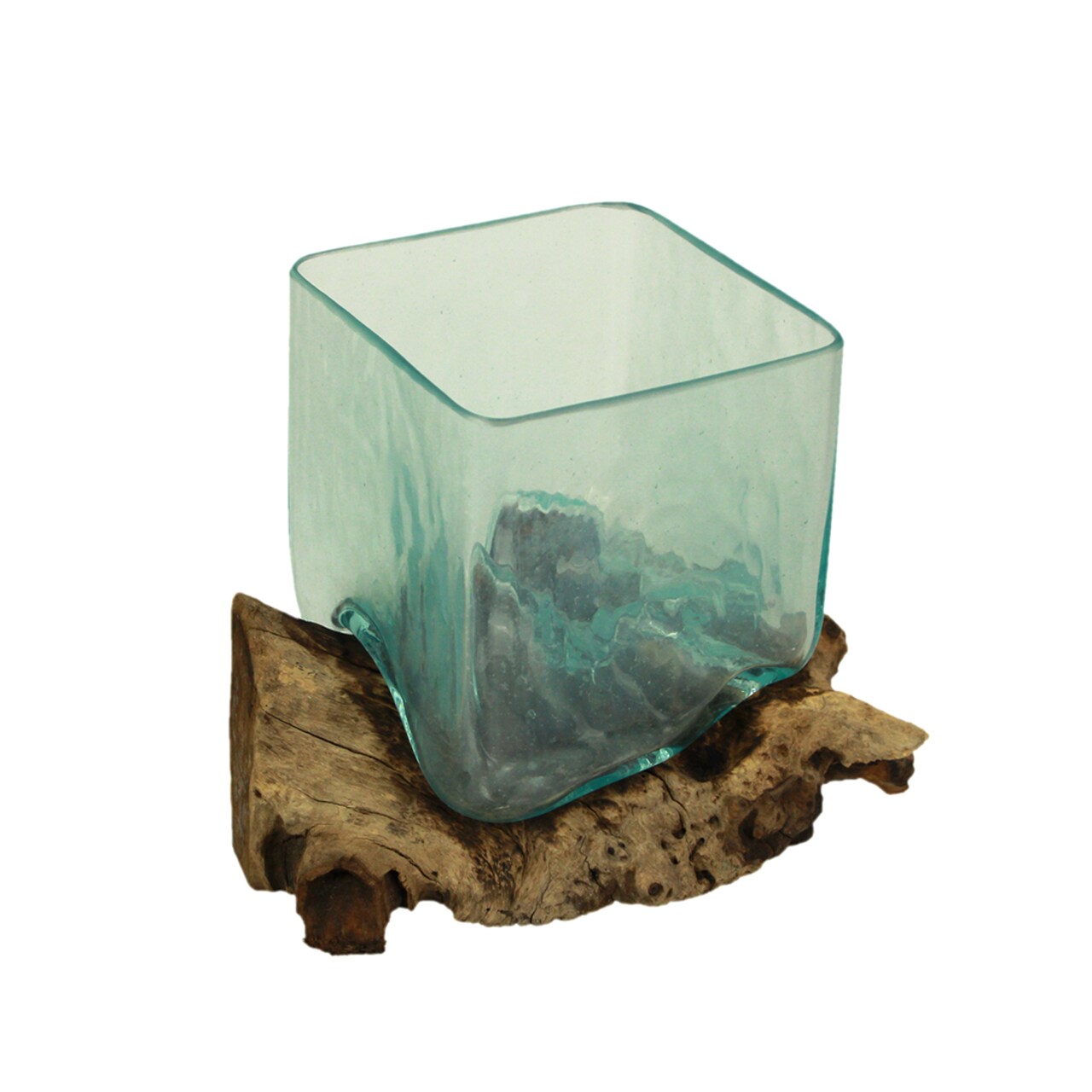 Teak Driftwood Glass Square Vase/Bowl - 8" High - Nature-Inspired Decor